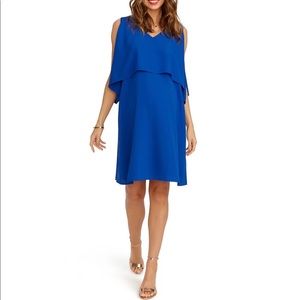 Rosie Pope Janie Maternity Dress
